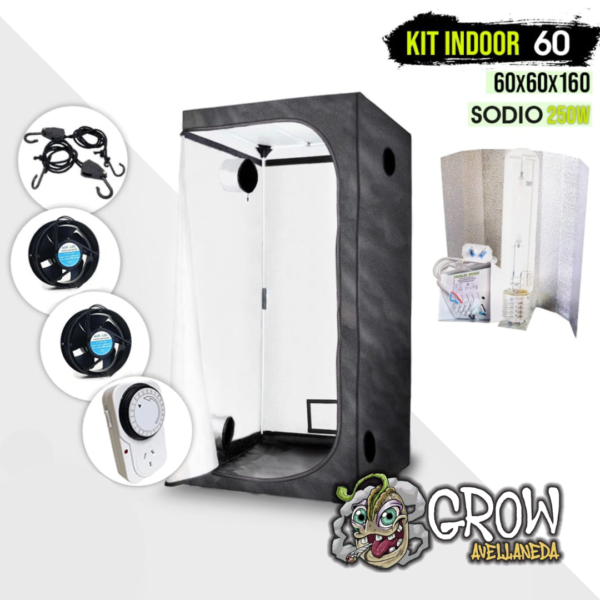 KIT CARPA INDOOR 60X60X160 + KIT SODIO PHILLIPS 250W