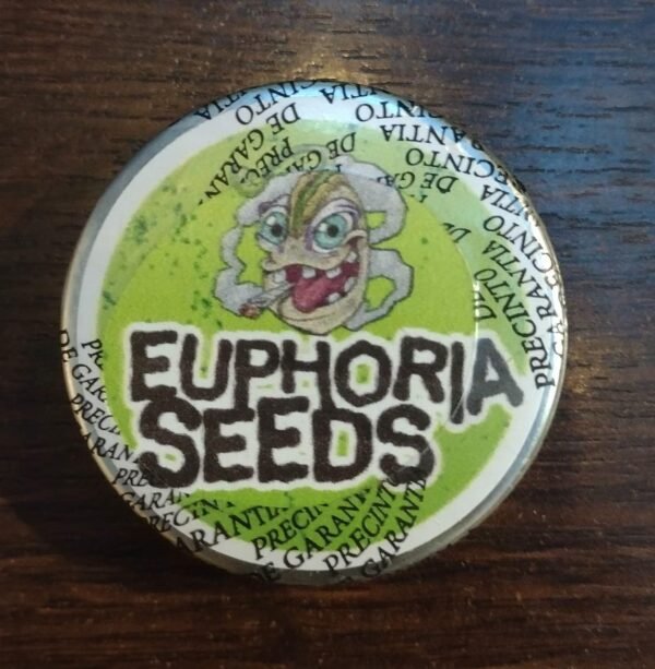 EUPHORIA SEEDS - AUTO - OG KUSH X50 (A Granel) - Imagen 2