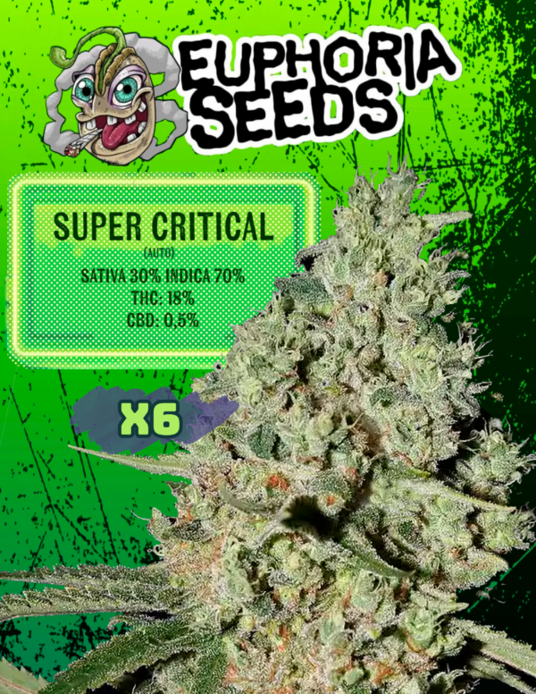 SUPER CRITICAL AUTOMÁTICA X 6