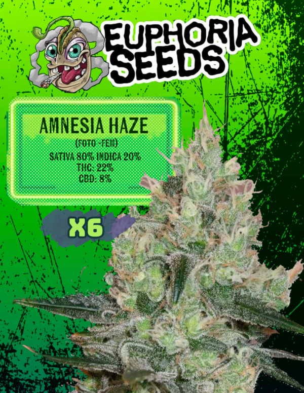 AMNESIA HAZE FEMINIZADA X 6