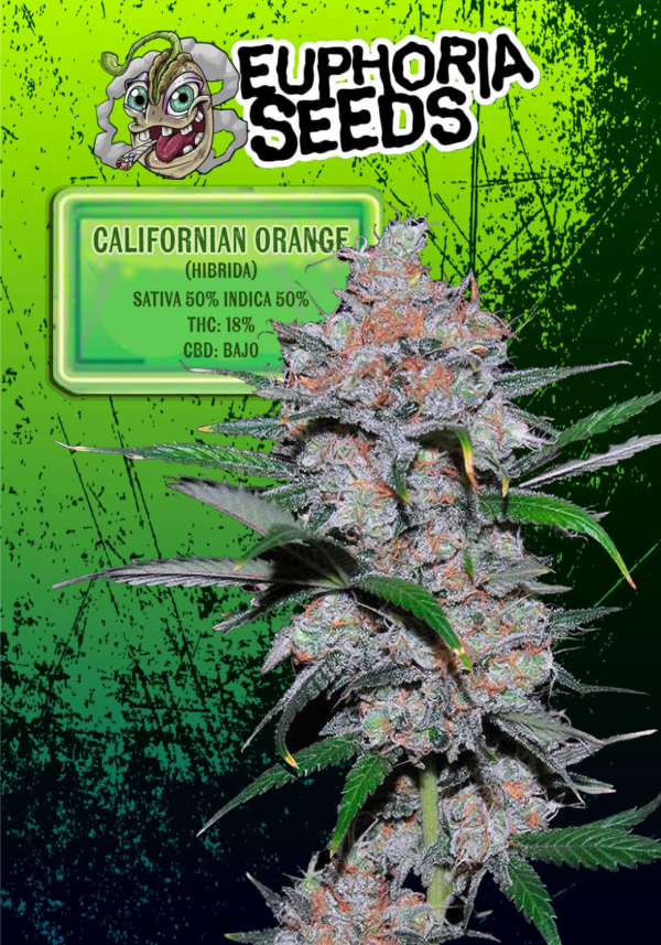 EUPHORIA SEEDS - FEM - CALIFORNIAN ORANGE X3