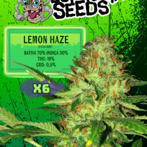 EUPHORIA SEEDS - FEM - LEMON HAZE X6