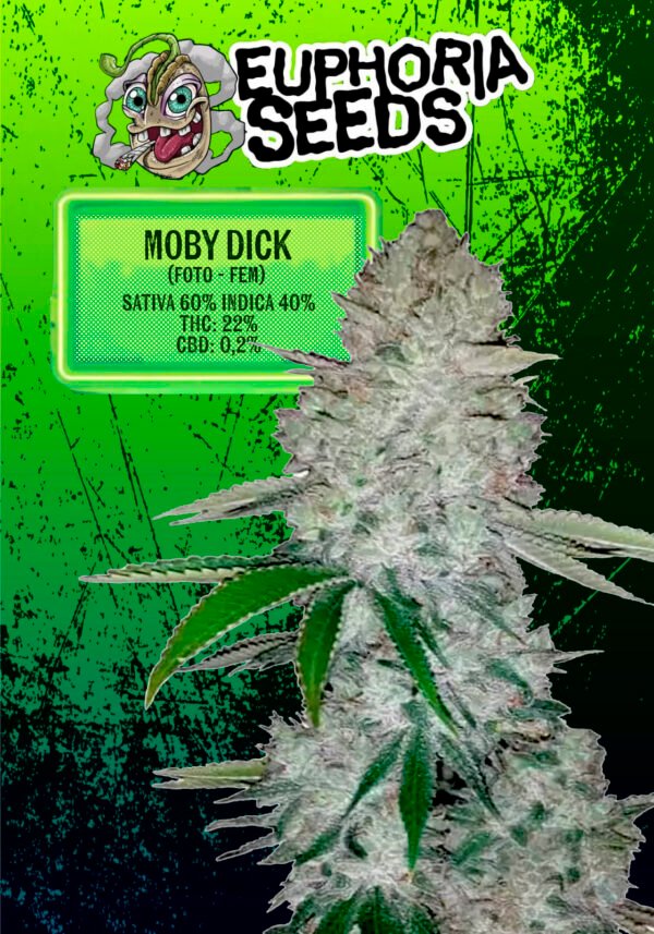 EUPHORIA SEEDS - FEM - MOBY DICK X3