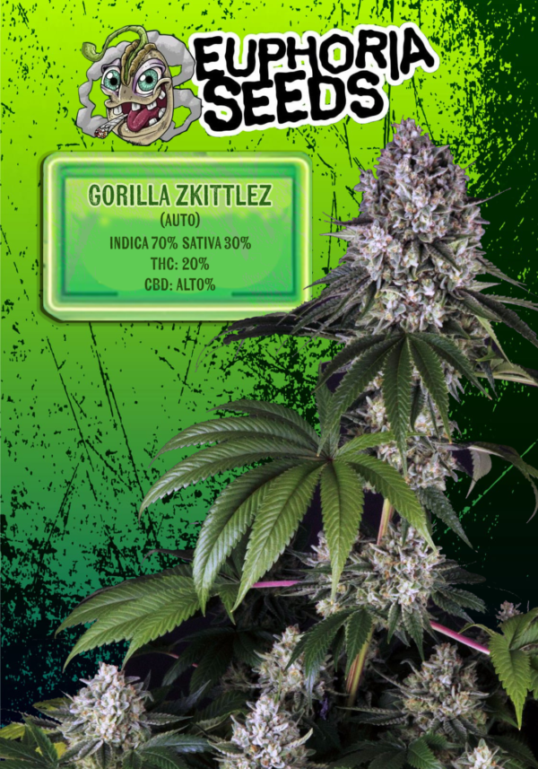 EUPHORIA SEEDS - AUTO - GORILLA ZKITTLEZ X3