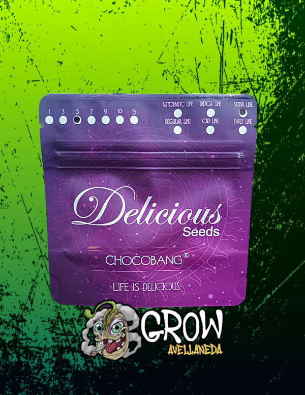 Delicious Seeds - Chocobang x 5