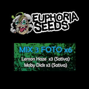 EUPHORIA SEEDS - MIX 3 - FEM X6 - LEMON HAZE + MOBY DICK
