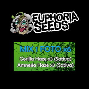 EUPHORIA SEEDS - MIX 1 - FEM X6 - GORILLA HAZE + AMNESIA HAZE