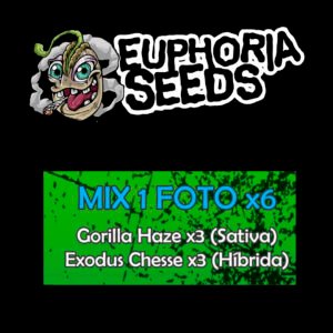 EUPHORIA SEEDS - MIX 1 - FEM X6 - GORILLA HAZE + EXODUS CHEESE