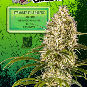 EUPHORIA SEEDS - FEM - STRAWBERRY LEMONADE X6
