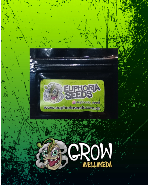 EUPHORIA SEEDS - AUTO - SUPER CRITICAL X 3 - Imagen 3