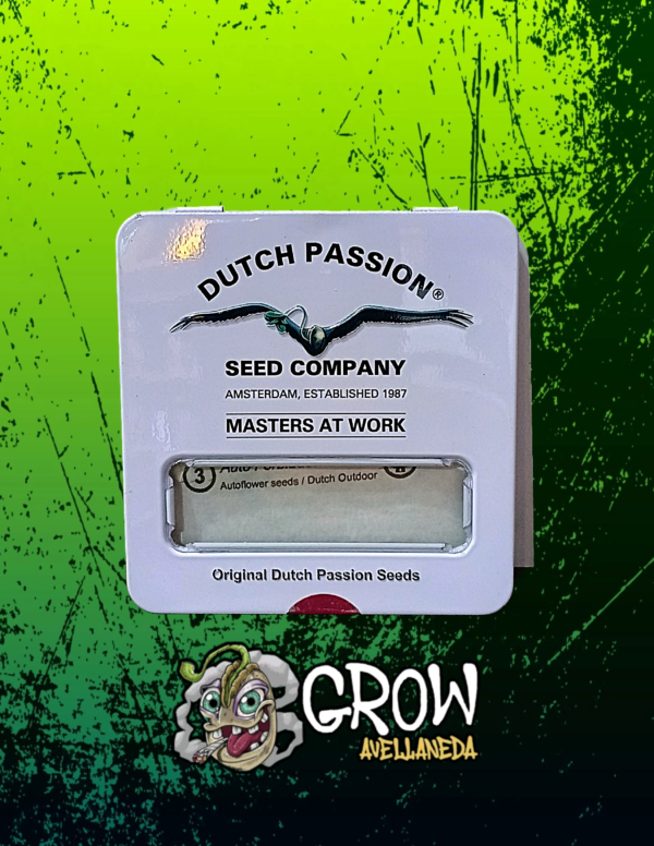 Dutch Passion -Auto Forbidden Cherry x3