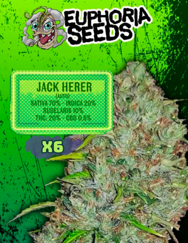 EUPHORIA SEEDS - AUTO - JACK HERER X6