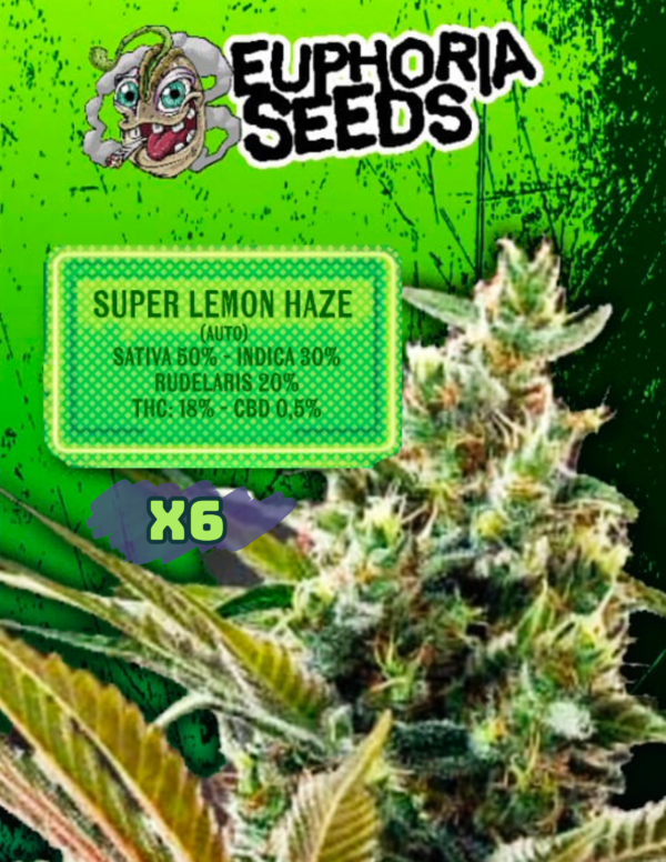 EUPHORIA SEEDS - AUTO - SUPER LEMON HAZE x6