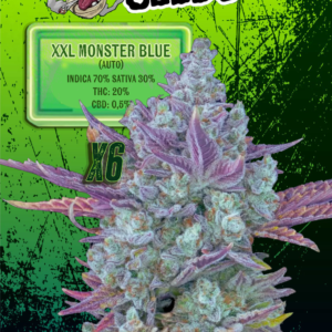EUPHORIA SEEDS - AUTO - XXL MONSTER BLUE X6