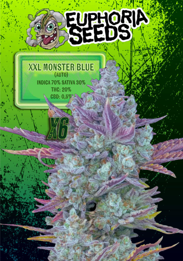 EUPHORIA SEEDS - AUTO - XXL MONSTER BLUE X6
