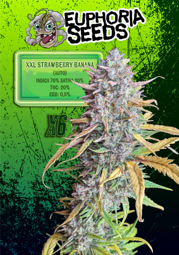 EUPHORIA SEEDS - AUTO - XXL STRAWBERRY BANANA X6