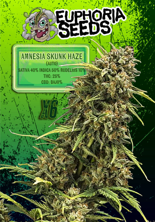 EUPHORIA SEEDS - AUTO - AMNESIA SKUNK HAZE X6