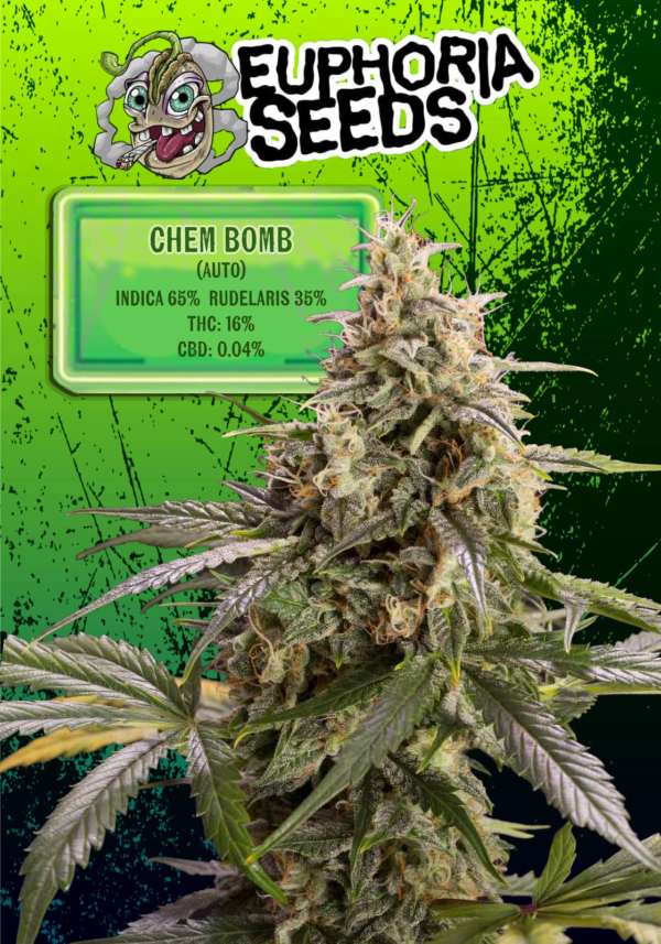 EUPHORIA SEEDS - AUTO - CHEM BOMB X3