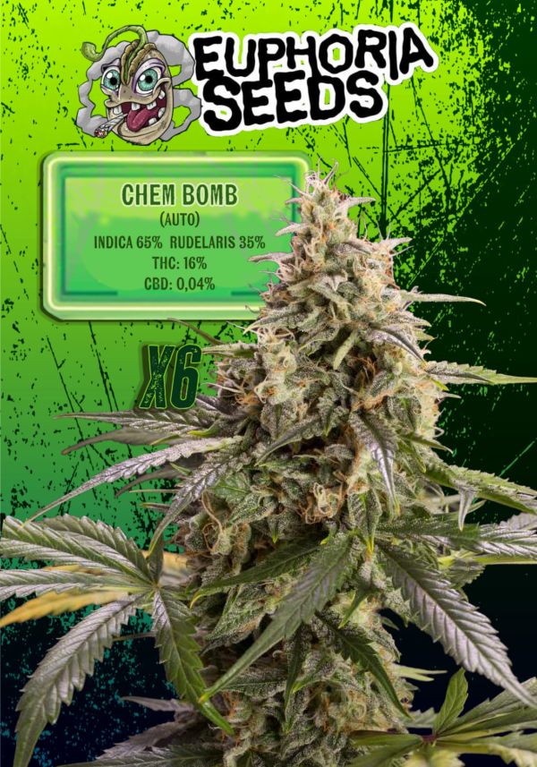 EUPHORIA SEEDS - AUTO - CHEM BOMB X6