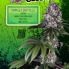 EUPHORIA SEEDS - AUTO - GORILLA ZKITTLEZ X6