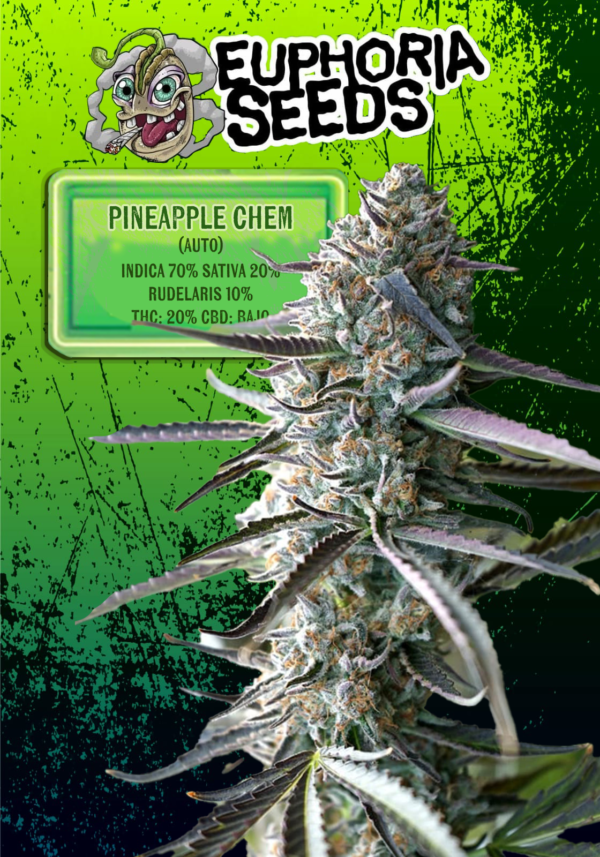 EUPHORIA SEEDS - AUTO - PINEAPPLE CHEM X3