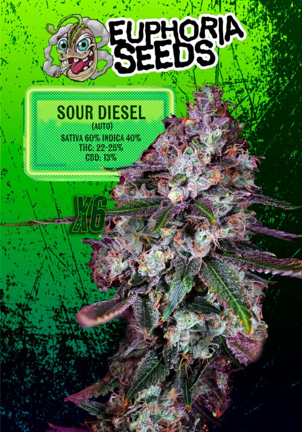 EUPHORIA SEEDS - AUTO - SOUR DIESEL X6