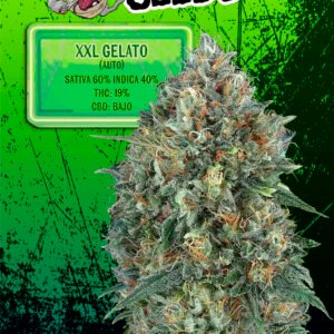 EUPHORIA SEEDS - AUTO - XXL GELATO X3
