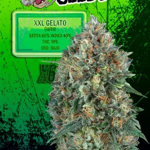EUPHORIA SEEDS - AUTO - XXL GELATO X6