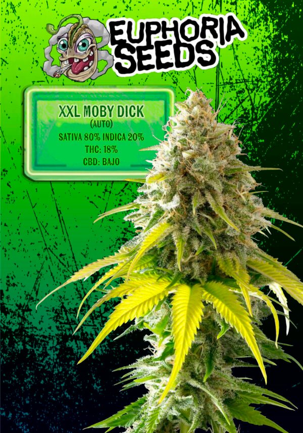 EUPHORIA SEEDS - AUTO - XXL MOBY DICK X3