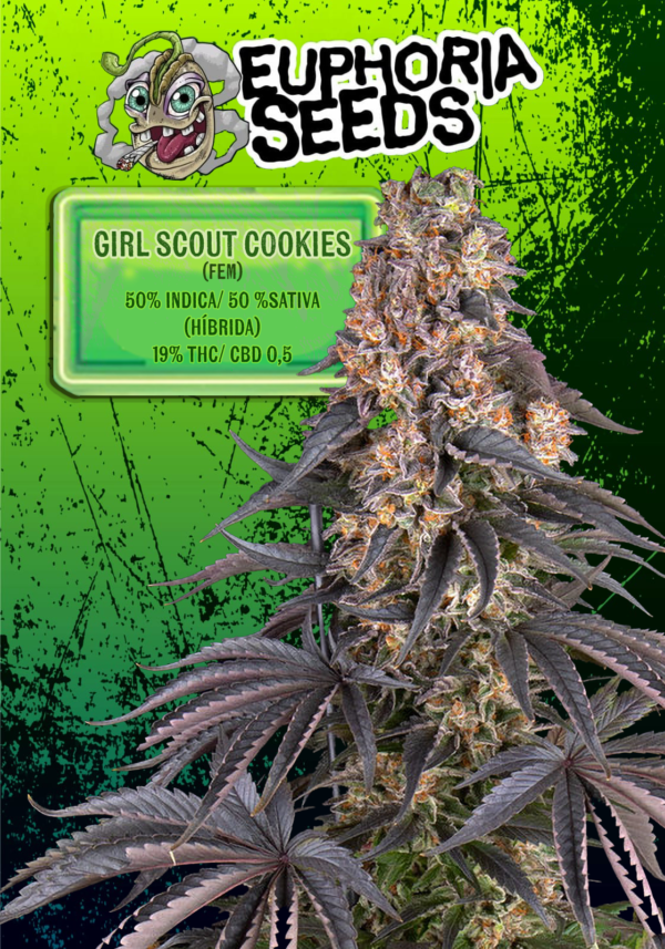EUPHORIA SEEDS - FEM - GIRL SCOUT COOKIES X3