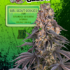 EUPHORIA SEEDS - FEM - GIRL SCOUT COOKIES X6