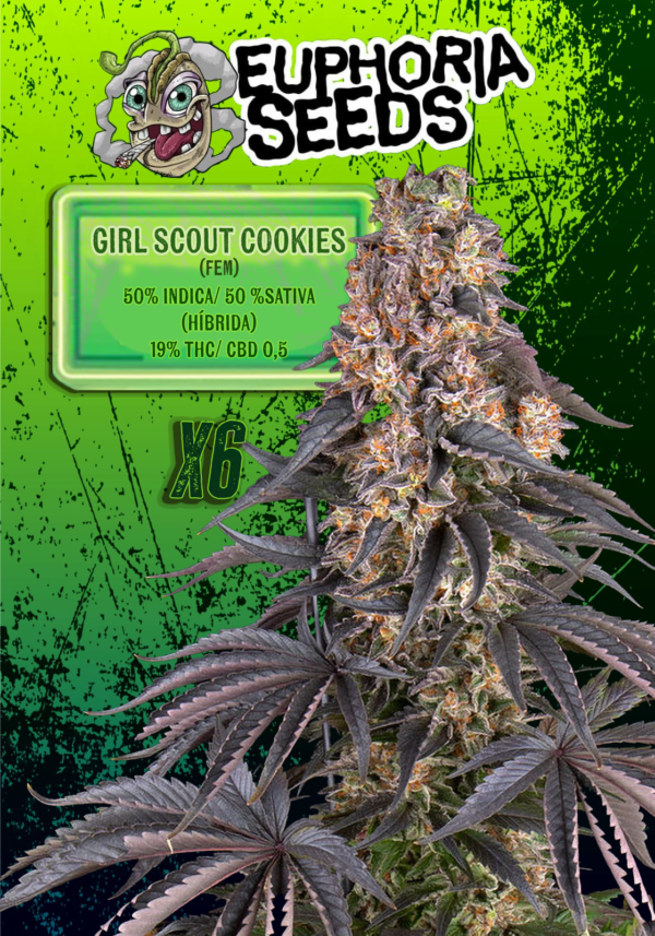 EUPHORIA SEEDS - FEM - GIRL SCOUT COOKIES X6