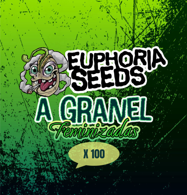 EUPHORIA SEEDS - Fem - A granel x100