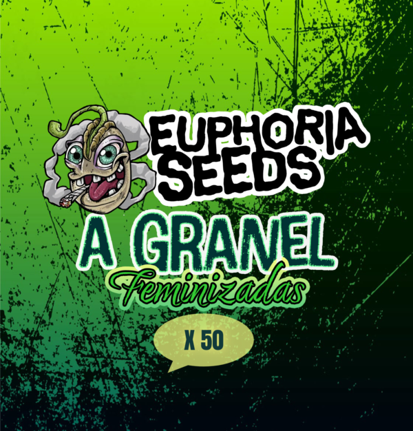 EUPHORIA SEEDS - Fem - A granel x50