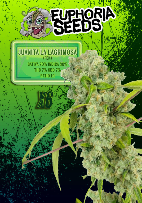EUPHORIA SEEDS - FEM - JUANITA LA LAGRIMOSA X6