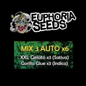EUPHORIA SEEDS - MIX AUTO 3 X6 - XXL GELATO + GORILLA GLUE