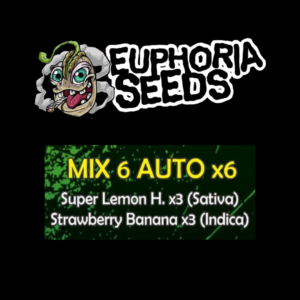 EUPHORIA SEEDS - MIX AUTO 6 X6 - SUPER LEMON HAZE + STRAWBERRY BANANA