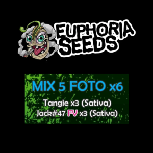 EUPHORIA SEEDS - MIX FEM 5 X6 - TANGIE + JACK #47 FV