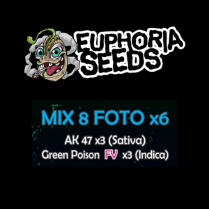 EUPHORIA SEEDS - MIX FEM 8 X6 - AK-47 + GREEN POISON FV