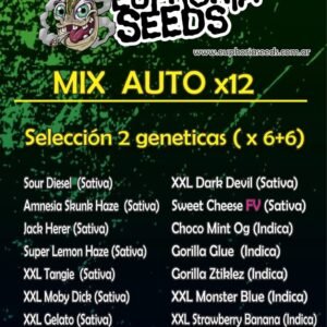 EUPHORIA SEEDS - MIX AUTO X12 - SELECCION 2 GENETICAS