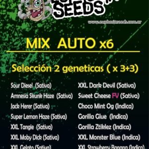 EUPHORIA SEEDS - MIX AUTO X6 - SELECCION 2 GENETICAS