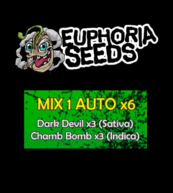 EUPHORIA SEEDS - MIX AUTO 1 X6 - DARK DEVIL + CHEM BOMB