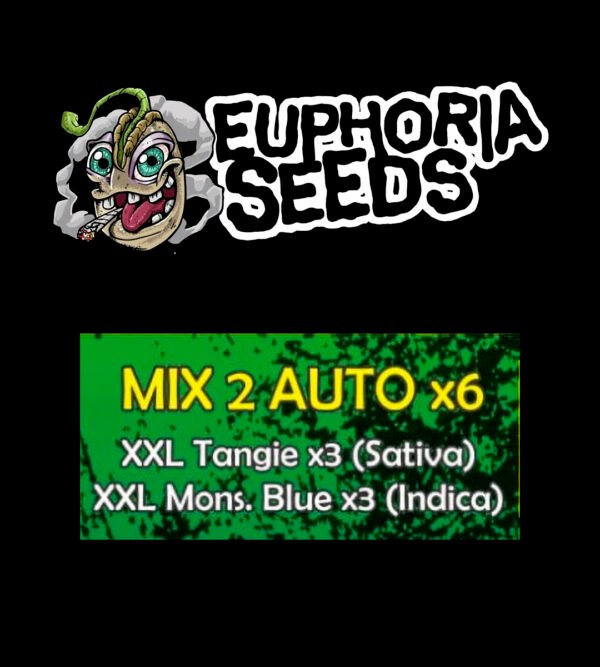 EUPHORIA SEEDS - MIX AUTO 2 X6 - XXL TANGIE + XXL MONSTER BLUE