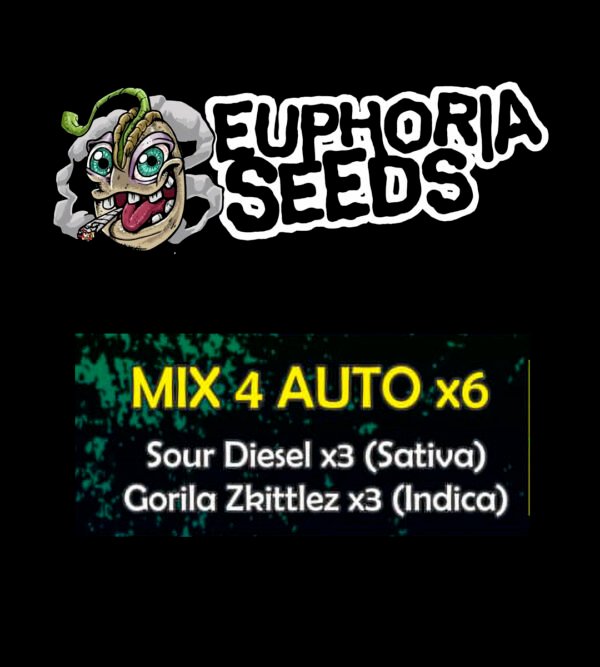 EUPHORIA SEEDS - MIX AUTO 4 X6 - SOUR DIESEL + GORILLA ZKITTLEZ