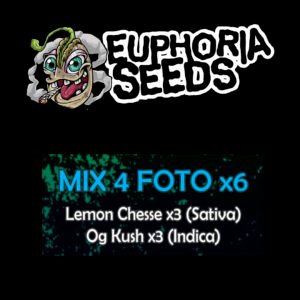 EUPHORIA SEEDS - MIX FEM 4 X6 - LEMON CHEESE + OG KUSH