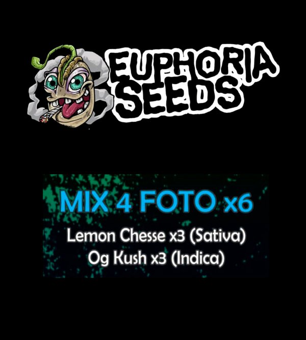 EUPHORIA SEEDS - MIX FEM 4 X6 - LEMON CHEESE + OG KUSH
