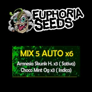 EUPHORIA SEEDS - MIX AUTO 5 X6 - AMNESIA SKUNK HAZE + CHOCO MINT OG