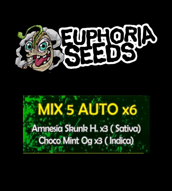 EUPHORIA SEEDS - MIX AUTO 5 X6 - AMNESIA SKUNK HAZE + CHOCO MINT OG