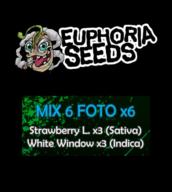 EUPHORIA SEEDS - MIX FEM 6 X6 - STRAWBERRY LEMONADE + WHITE WIDOW