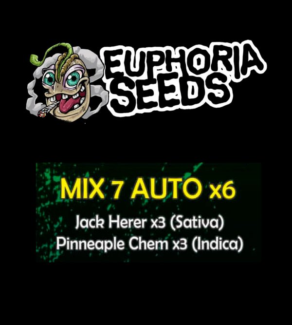 EUPHORIA SEEDS - MIX AUTO 7 X6 - JACK HERER + PINEAPPLE CHEM